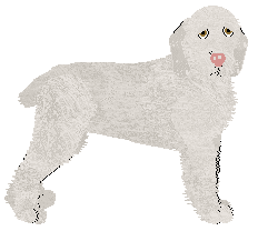 Dragosani HYPNOTIZE ME — “Hype”