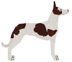 Mirror Blue's Line After Line — “Anza”