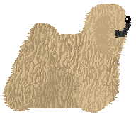 Mirror Blue's Potential Conflation — “Torok”