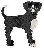 Vanillabel's Sans Hull at SzK — “Pepita”