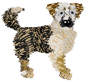 Profile image of Sz's Canadian Oil