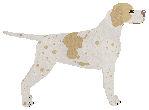 Peregrine Ragnhildur — “Hilda”