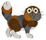 Frogbowl's Start the Car at Medusa — “Hakea”