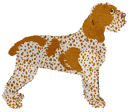 Dragosani Nebbia d’Oro — “Misty”