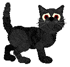 Cargo's Strange Black Cat — “Runa”