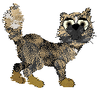 Profile image of SeaGlass/Rattlesnake's Star Jasmine