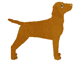 Peregrine Different Flavour — “Maja”