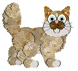 Profile image of Sungraze's Mocha Moustache at Chachke