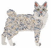 Moth's Permanent Fixture at Macavity — “Lightbulb”