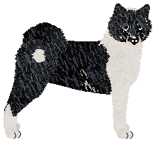 Profile image of Blizzard Rainy Days