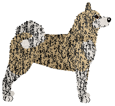 Aki no Owari no Katsuki — “Aki”