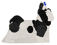 Mirror Blue's Thorn and Birch — “Moomoo”