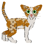 Frogbowl Glimmer In Gold — “Kei”