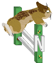 HUNCWOCI Zajączek Wielkanocny — “Easter”