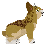 HUNCWOCI Zajączek Wielkanocny — “Easter”