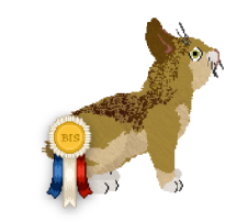 Profile image of HUNCWOCI Zajączek Wielkanocny