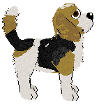 Cargo's Campfire Stories — “Camper”