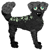 Profile image of Medusa/FK's Stargazer's Delight