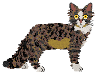 SECHE Oporny na współpracę — “Antoni”