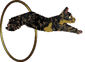 SECHE Członek watahy — “Seweryn”