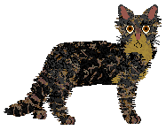 SECHE Członek watahy — “Seweryn”