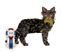 Profile image of SECHE Członek watahy