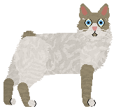 Cymophane Five Crater Lakes — “Ontake”