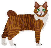 Moth's When Worlds Collide at Cymophane — “Time”