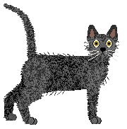 Cymophane Black Butte Porter — “Deschutes”