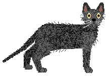 Cymophane Shiner Bock — “Gambrinus”