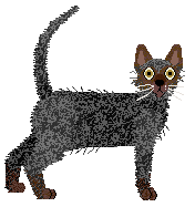 Cymophane Dead Guy Ale — “Rogue”