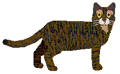 Cymophane Silkworm Mother — “Cánmǔ”