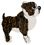 Arrow's Sovereign — “Kenton”