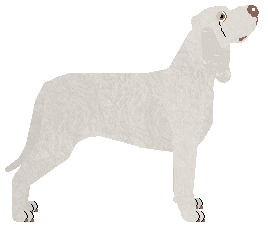 Mirror Blue's Porcelain Smile — “Porzia”