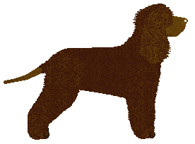 Mirror Blue's Oaken Opinion — “Laoise”