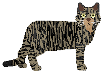 Mirror Blue's Make It Tough — “Fan”