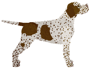 Mirror Blue's Shout It Out — “Shout”