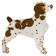 Caliente's Two Apples Tall at Carousel — “Strudel”