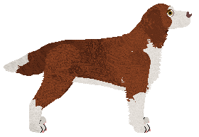 Mirror Blue's Hold Her Close — “Rafaela”