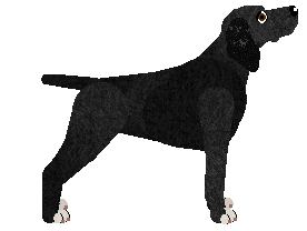 Mirror Blue's Words of Beauty — “Beate”