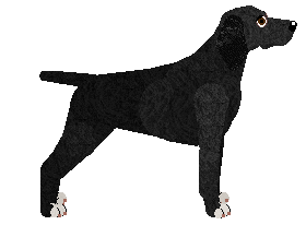 Mirror Blue's Words of Beauty — “Beate”