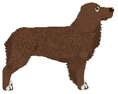 Mirror Blue's Strong and True — “Felizia”