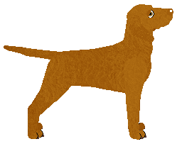 Mirror Blue's Far and Wide — “Farago”