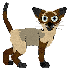 Frogbowl Black Pearl — “Biser”