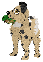 Mockingbird's Henhouse Harmony — “Eggs”