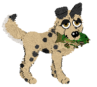 Mockingbird's Henhouse Harmony — “Eggs”