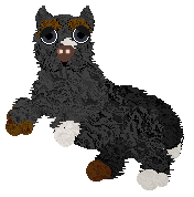 Canis Major's Exit Cool @ Mockingbird — “Voyage”