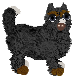 Profile image of Canis Major's Exit Cool @ Mockingbird