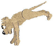 Mockingbird's Cluckin' Copycat — “Waltz”