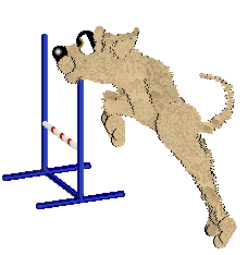 Mockingbird's Cluckin' Copycat — “Waltz”